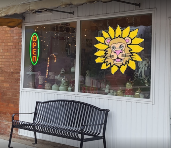 Dandi Lions Floral Design & Gifts in Shopping Olivet Michigan